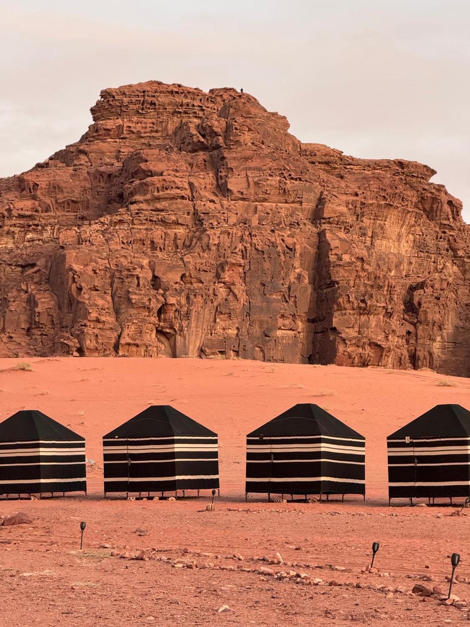 Desert Bird Camp Ram Vadisi Dış mekan fotoğraf