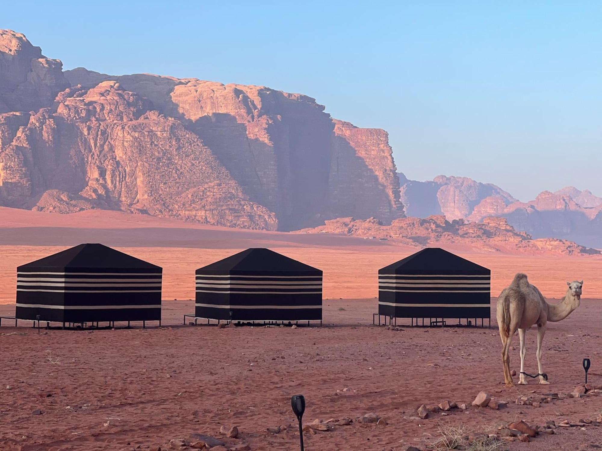 Desert Bird Camp Ram Vadisi Dış mekan fotoğraf