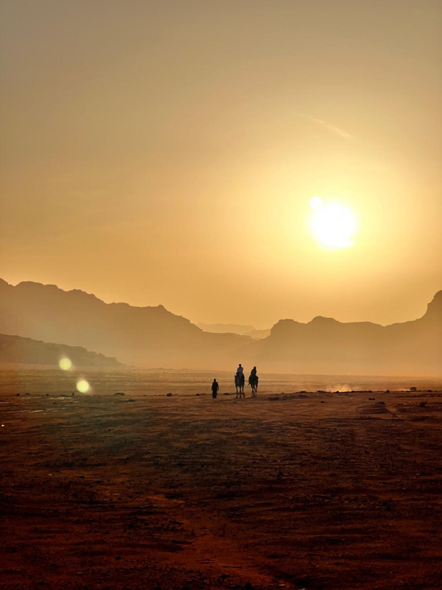 Desert Bird Camp Ram Vadisi Dış mekan fotoğraf