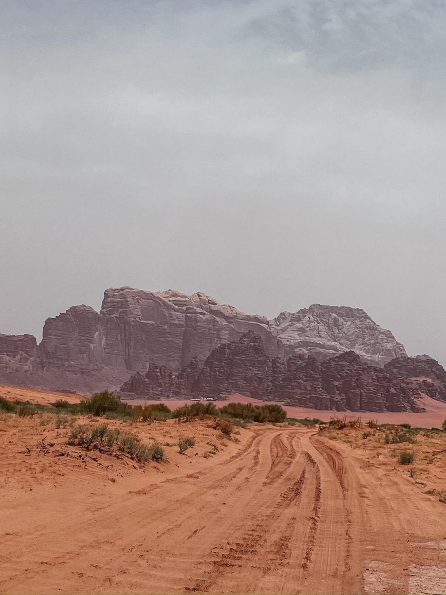 Desert Bird Camp Ram Vadisi Dış mekan fotoğraf