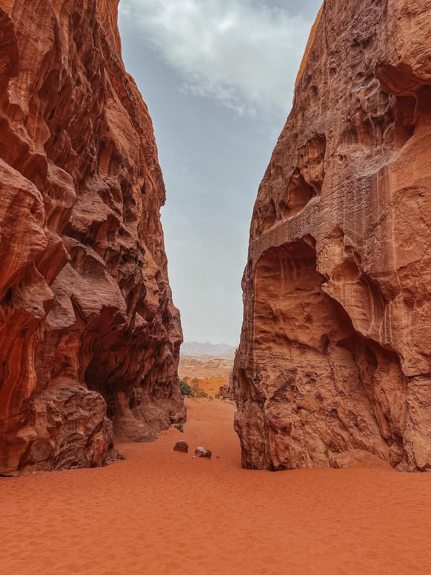 Desert Bird Camp Ram Vadisi Dış mekan fotoğraf